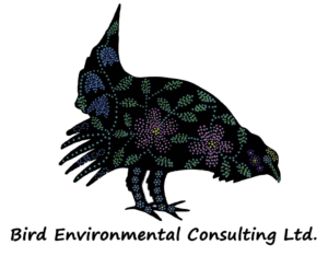 Bird Environmental Consulting Ltd.